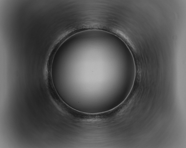 X0000093110674200710031316