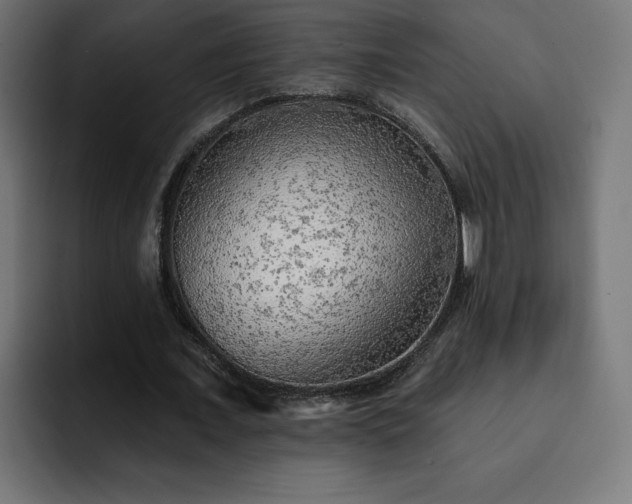 X0000093110675200710031316