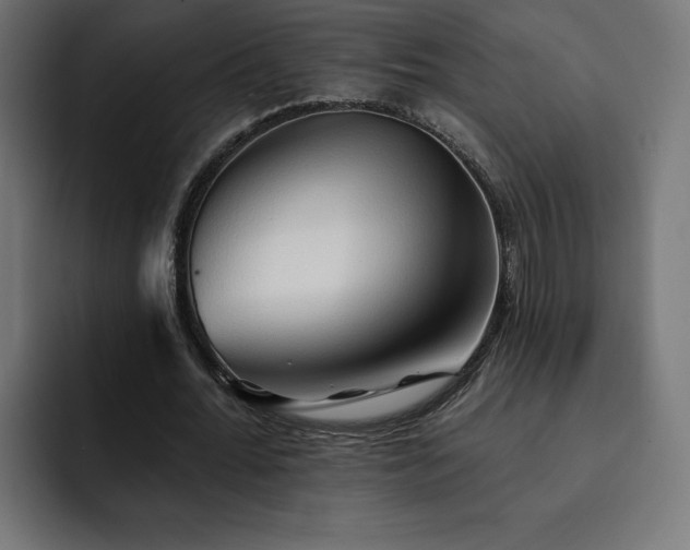 X0000093110676200710031316