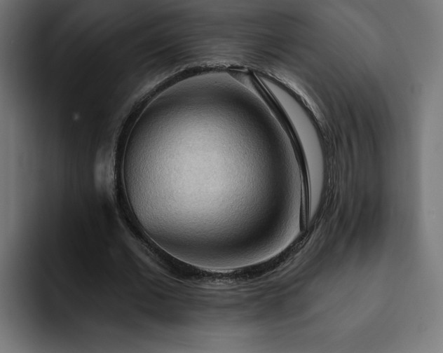 X0000093110677200710031316