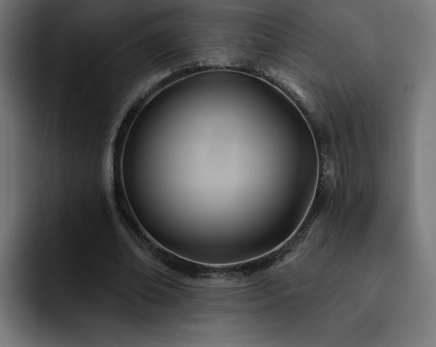 X0000093110678200710031316