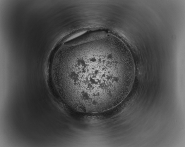 X0000093110679200710031316