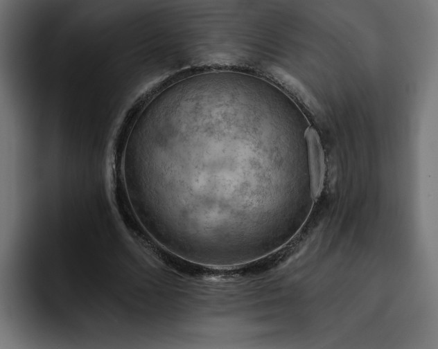 X0000093110680200710031316