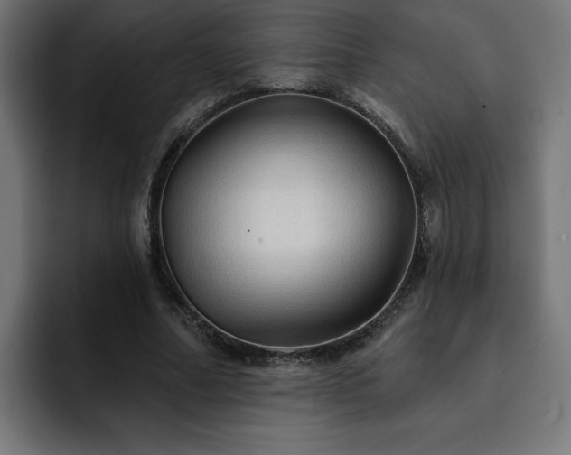 X0000093110682200710031316
