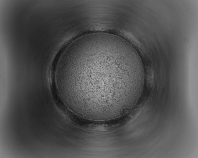 X0000093110683200710031316