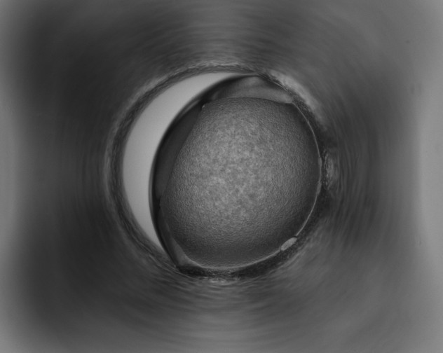 X0000093110684200710031316