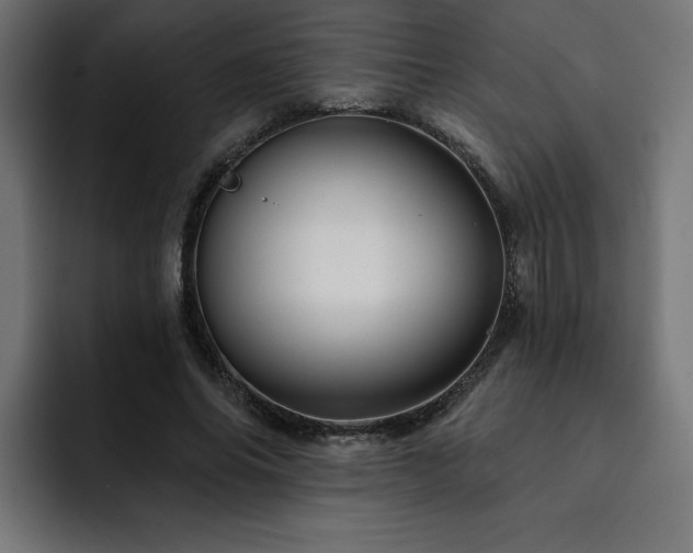 X0000093110686200710031316