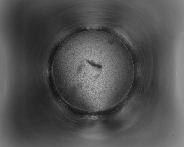 X0000093110687200710031316