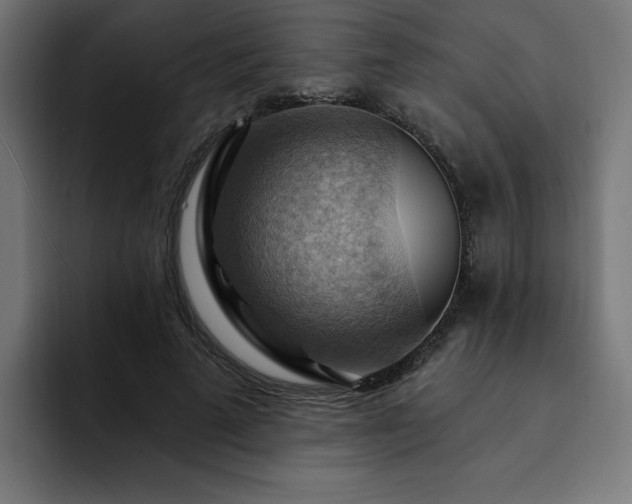X0000093110689200710031316
