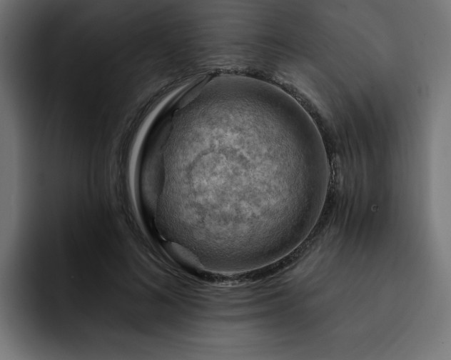 X0000093110692200710031316