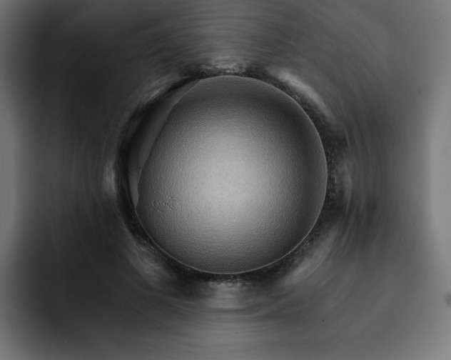 X0000093110693200710031316