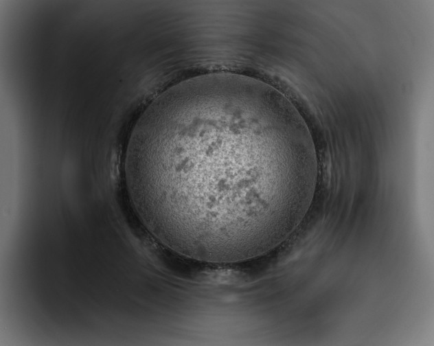 X0000093110695200710031316