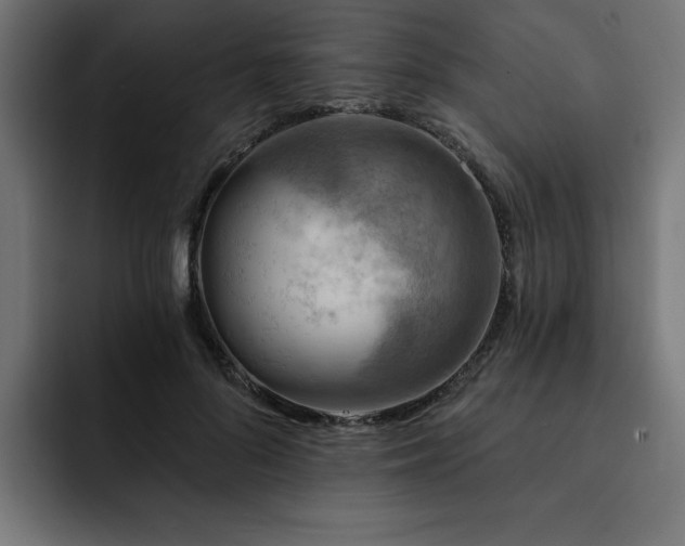 X0000093110696200710031316