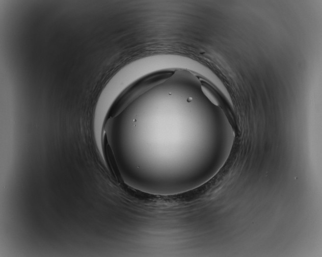 X0000093110697200710031316