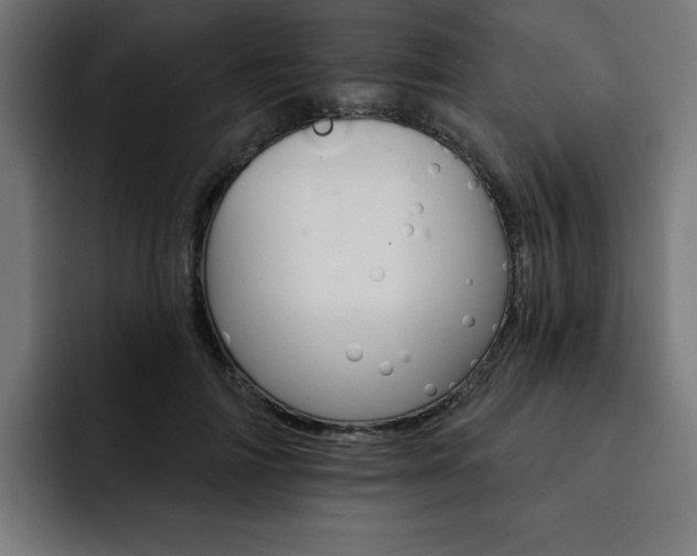 X0000093110698200710031316