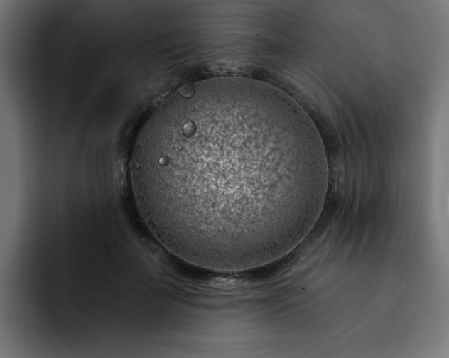 X0000093110699200710031316