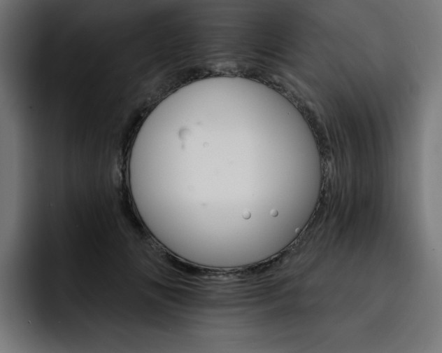 X0000093110702200710031316