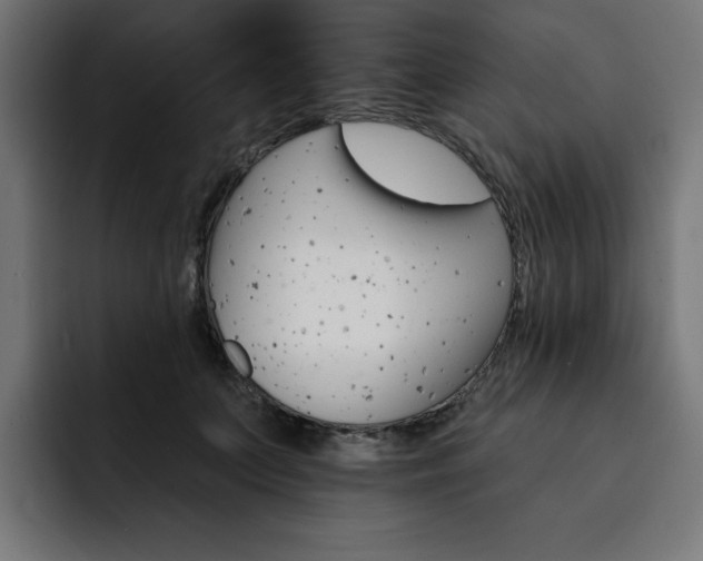 X0000093110703200710031316