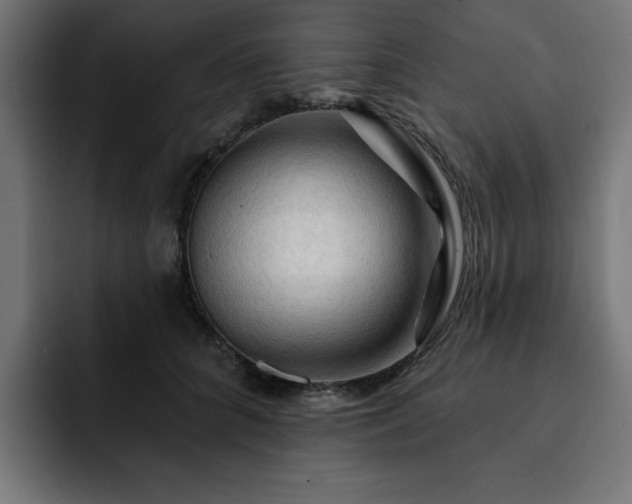 X0000093110704200710031316