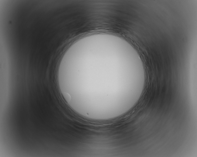 X0000093110705200710031316
