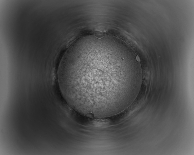 X0000093110707200710031316