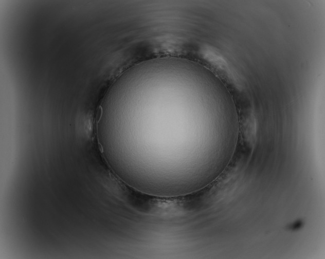 X0000093110709200710031316