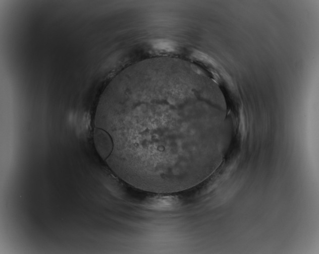 X0000093110711200710031316