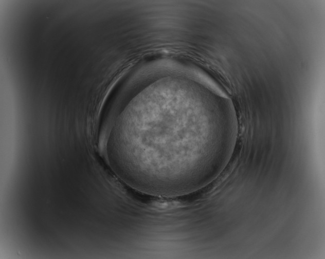 X0000093110712200710031316