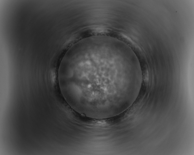 X0000093110715200710031316