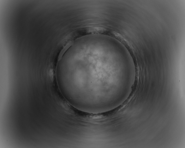 X0000093110716200710031316