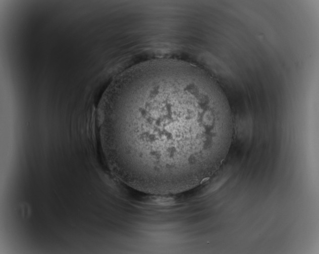 X0000093110719200710031316