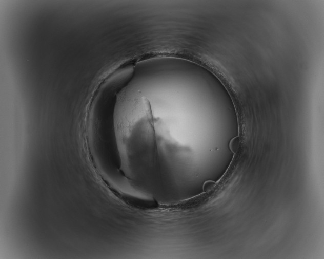X0000093110721200710031315