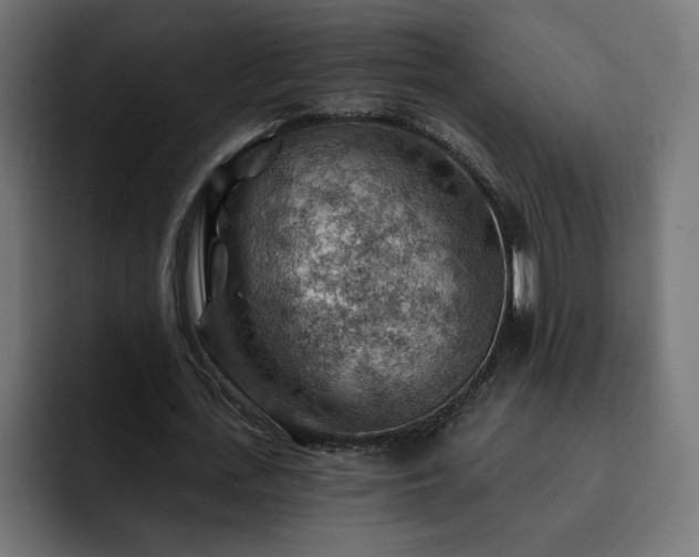 X0000093110723200710031315