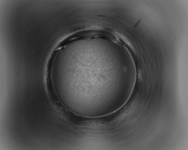 X0000093110724200710031315
