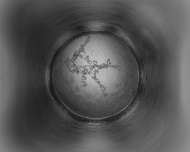 X0000093110725200710031315