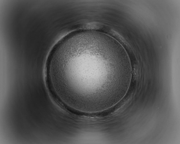 X0000093110726200710031315