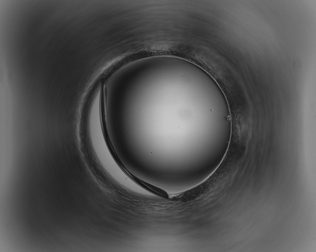 X0000093110728200710031315