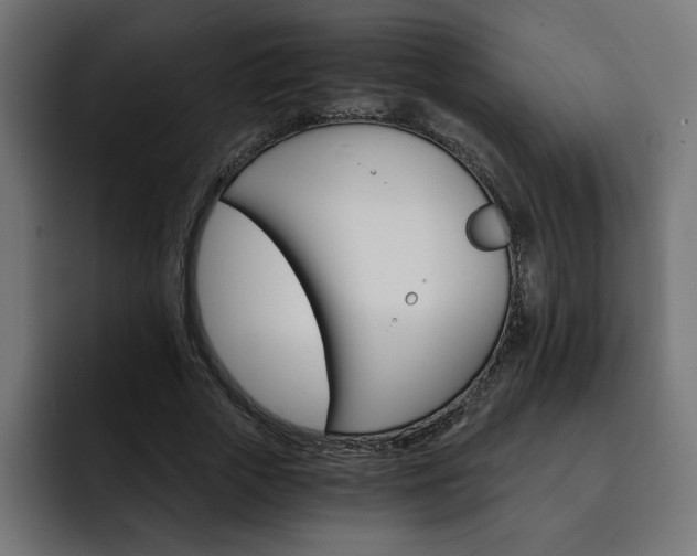 X0000093110729200710031315
