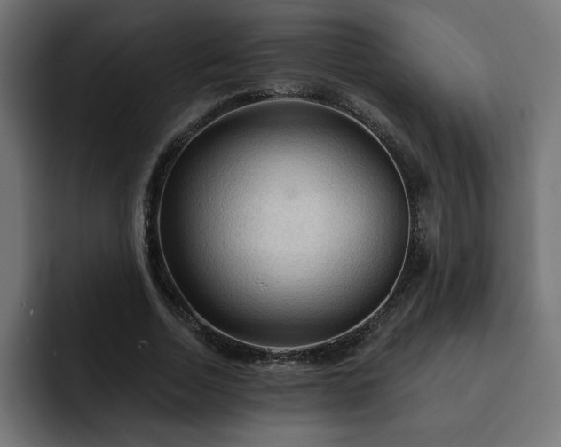X0000093110730200710031315
