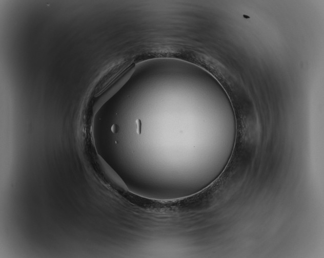 X0000093110731200710031315