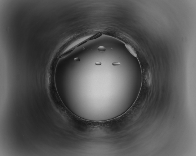X0000093110732200710031315