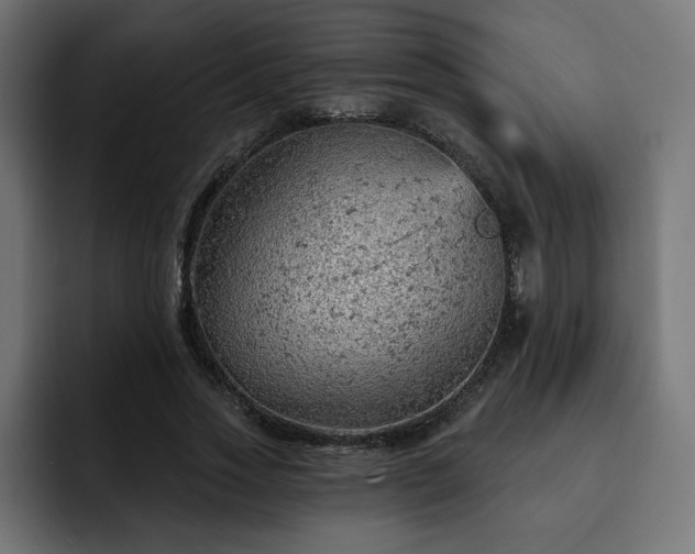 X0000093110733200710031315