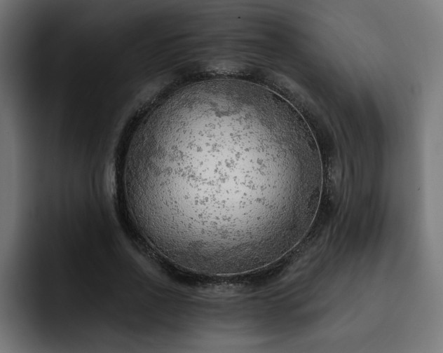 X0000093110734200710031315