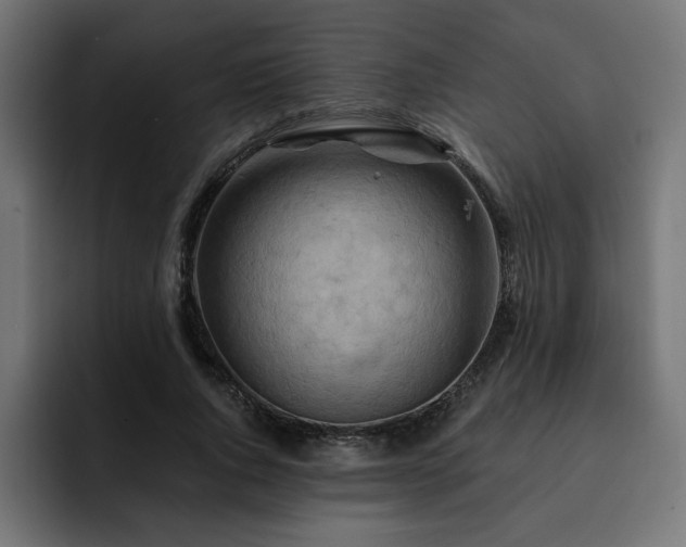 X0000093110736200710031315