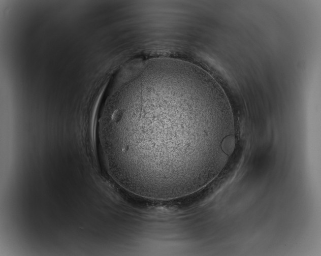 X0000093110737200710031315