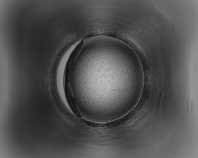 X0000093110738200710031315