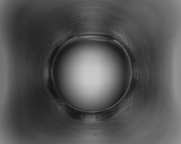 X0000093110740200710031315