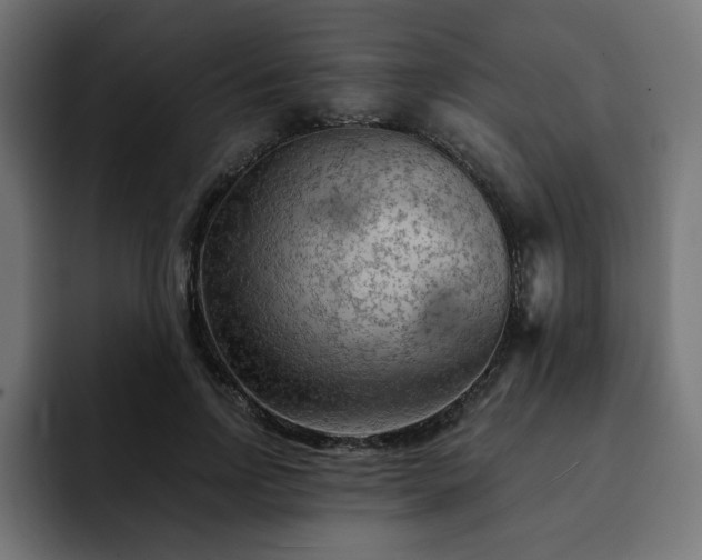 X0000093110742200710031315