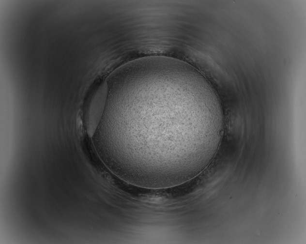 X0000093110743200710031316