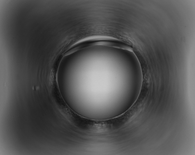 X0000093110744200710031316